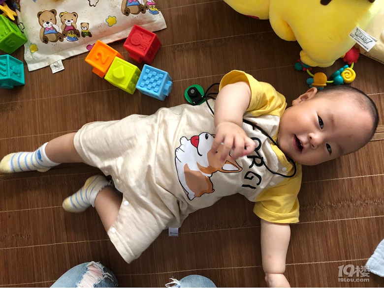 【娃的OOTD】小柯基上線啦