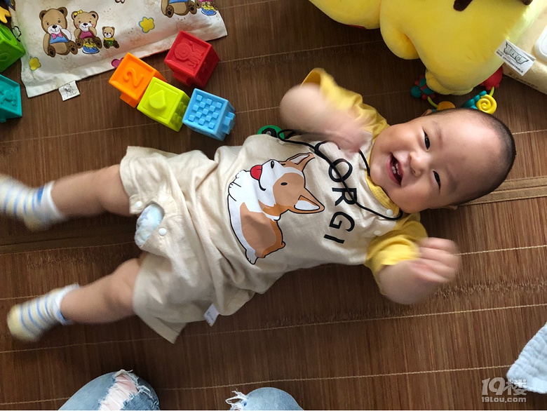 【娃的OOTD】小柯基上線啦
