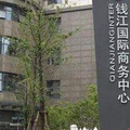 鿴ß