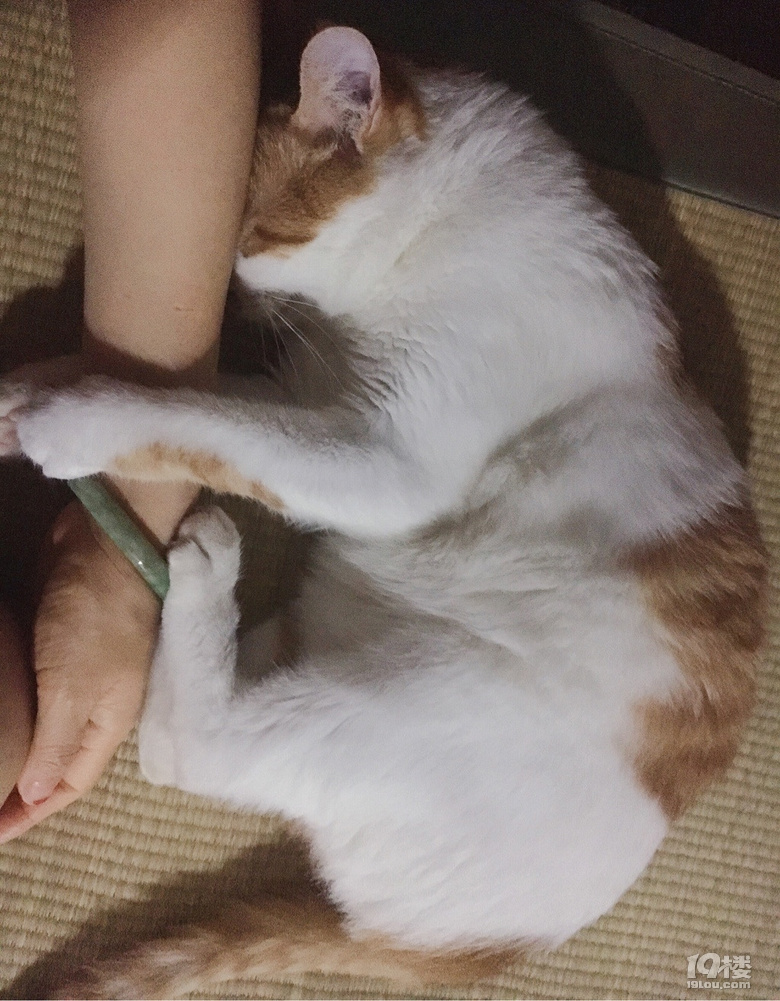 ˻B(yng)ӛ ʮ