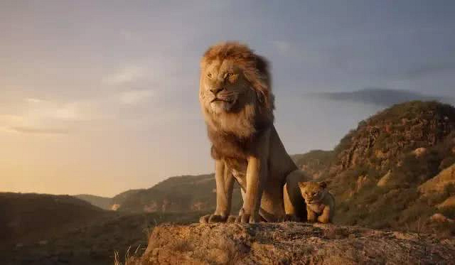 《狮子王》糊了,我们为什么要看一部"动物世界"