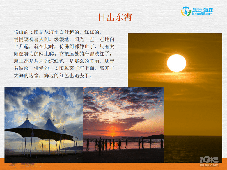 2019һu|(zh)չ--ɽu