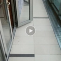 鿴ß