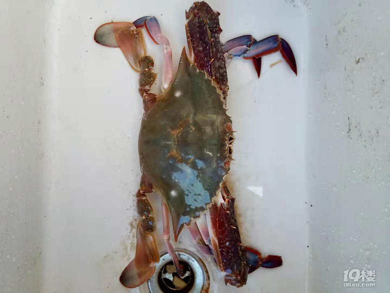 O^rз쵽