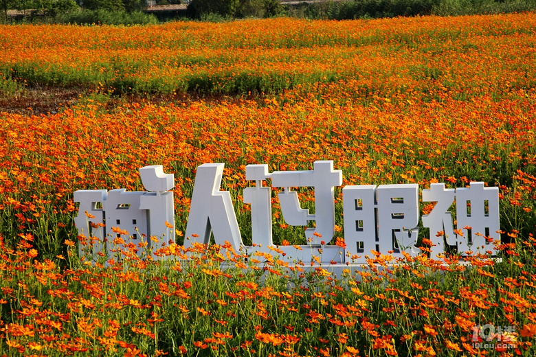 кǧF(xin)ȥ(li)