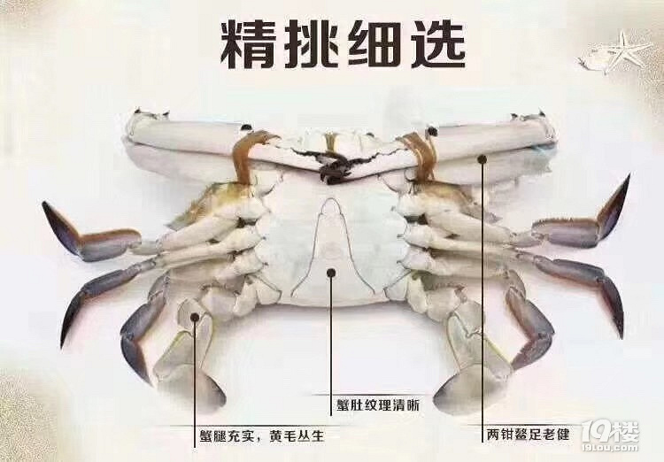 去菜市場買梭子蟹時，經(jīng)常會看到這樣錯誤的做法