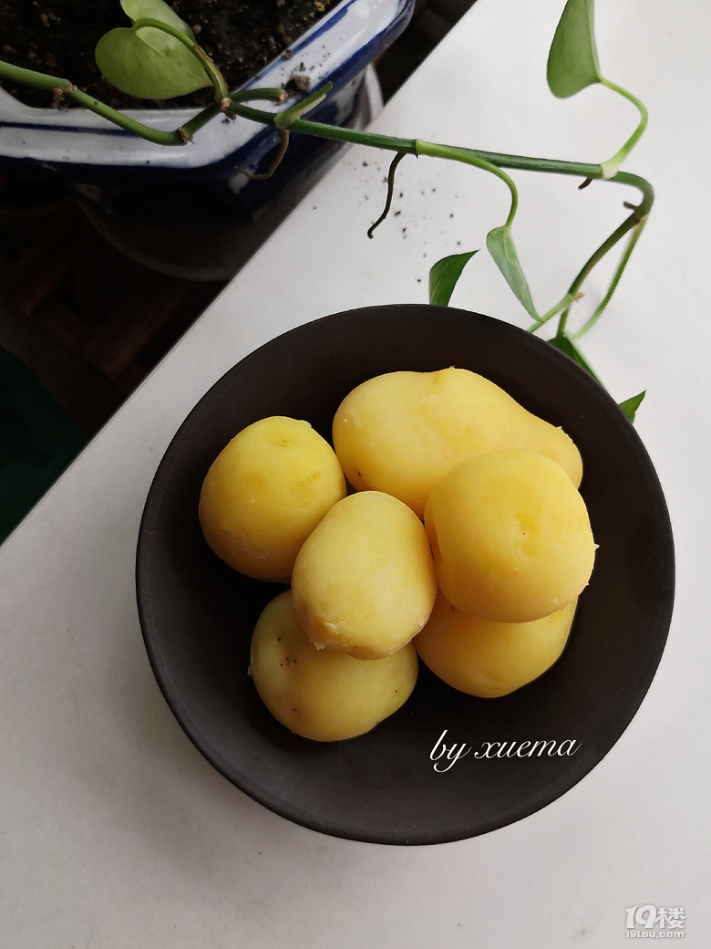 ѩN᲻˰W(wng)tС(li)