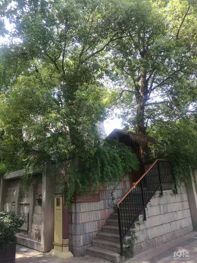 鹫ɽ