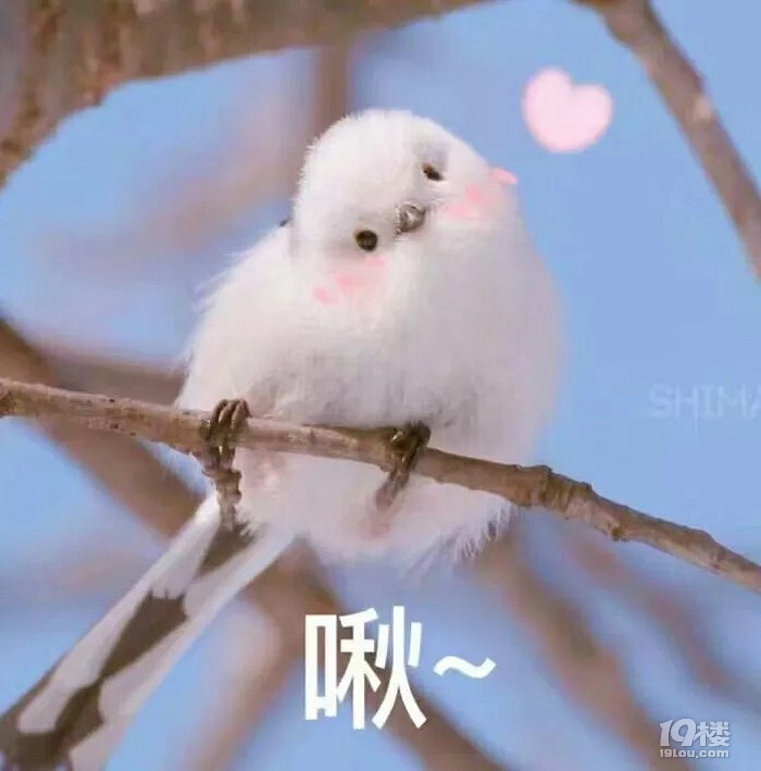 ˾Fꠕ(w)ָϕϣ