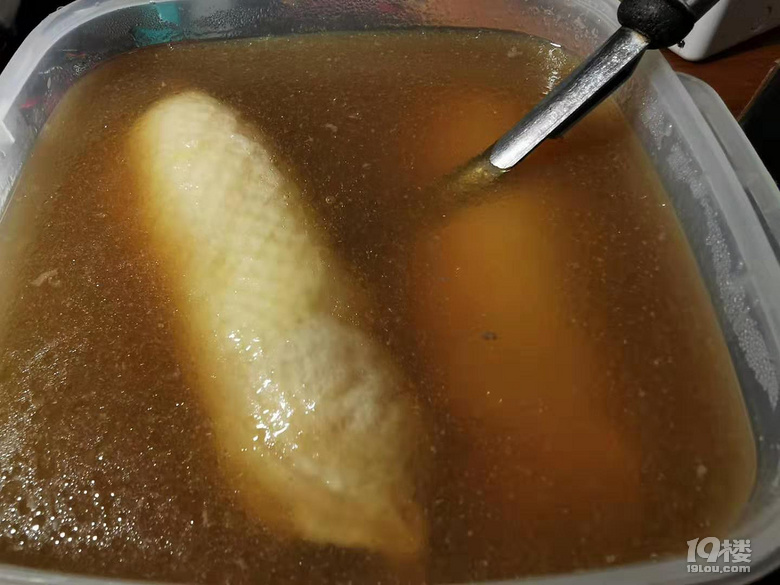 ܹ˽֮ou