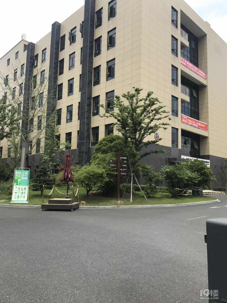 鿴ԭD