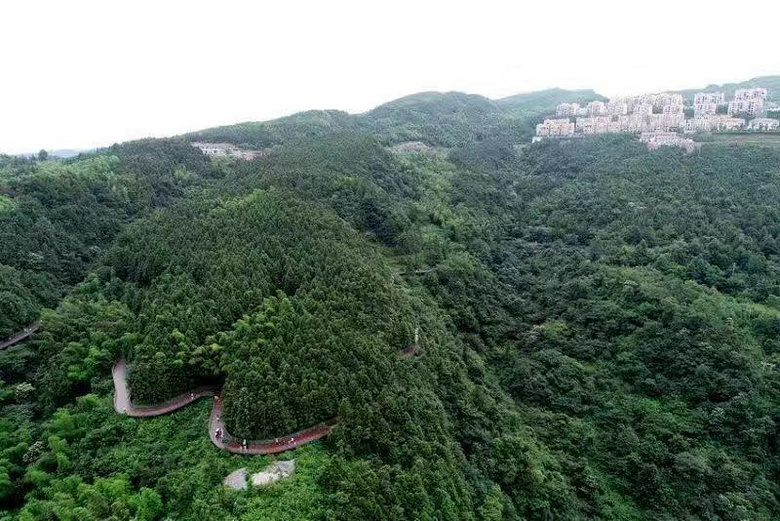 仙女山博象咏山水.避暑房新地标