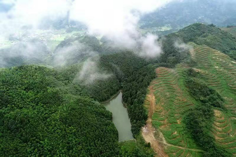 仙女山博象咏山水.避暑房新地标