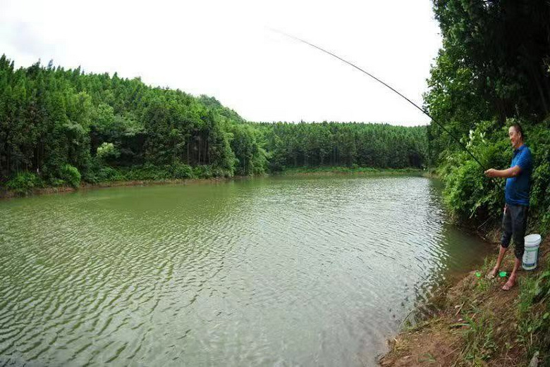 仙女山博象咏山水.避暑房新地标