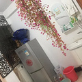 鿴ß