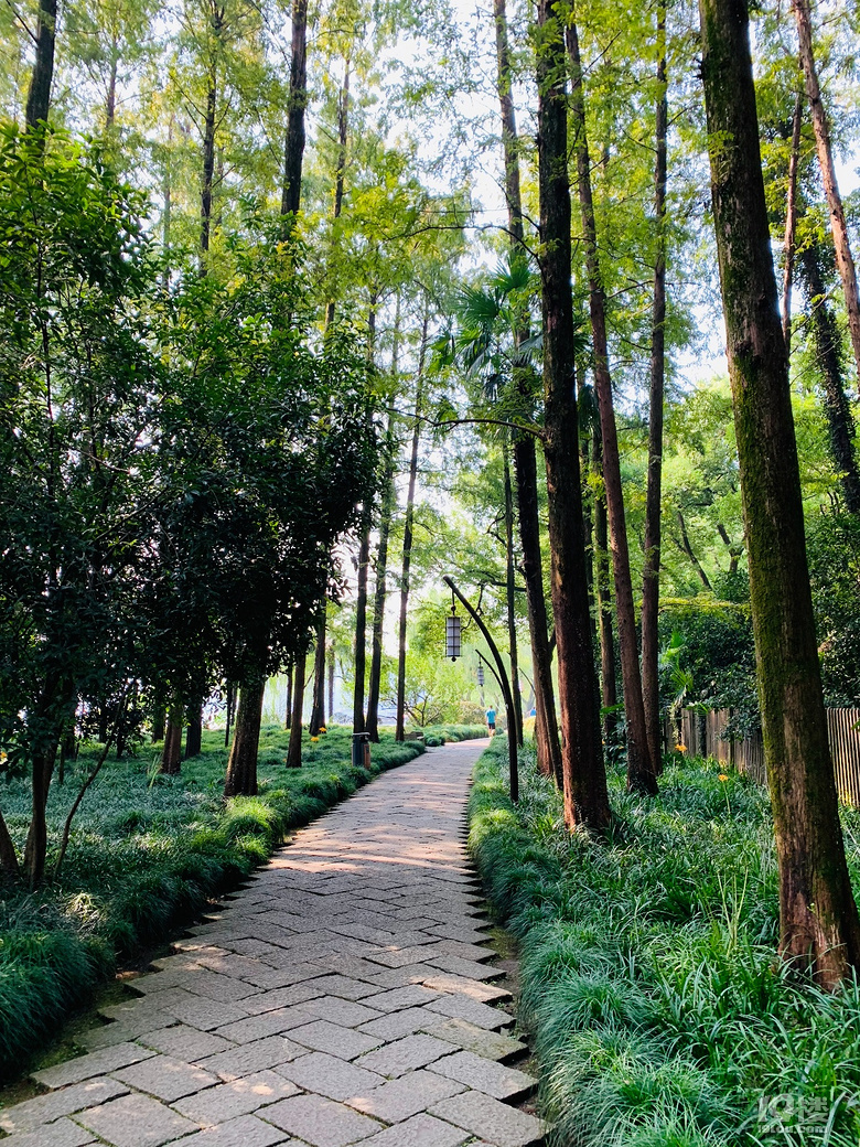 【秋游跡】漫步上香古道、法喜寺吃齋飯