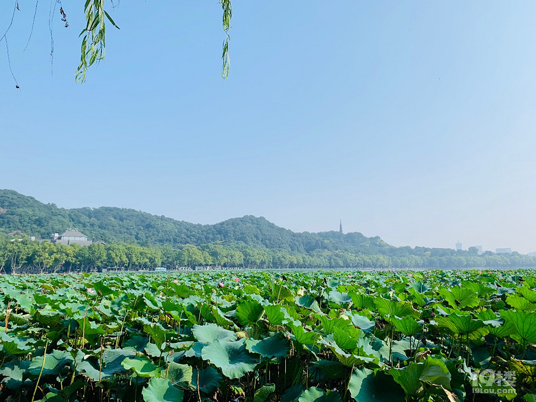 【秋游跡】漫步上香古道、法喜寺吃齋飯