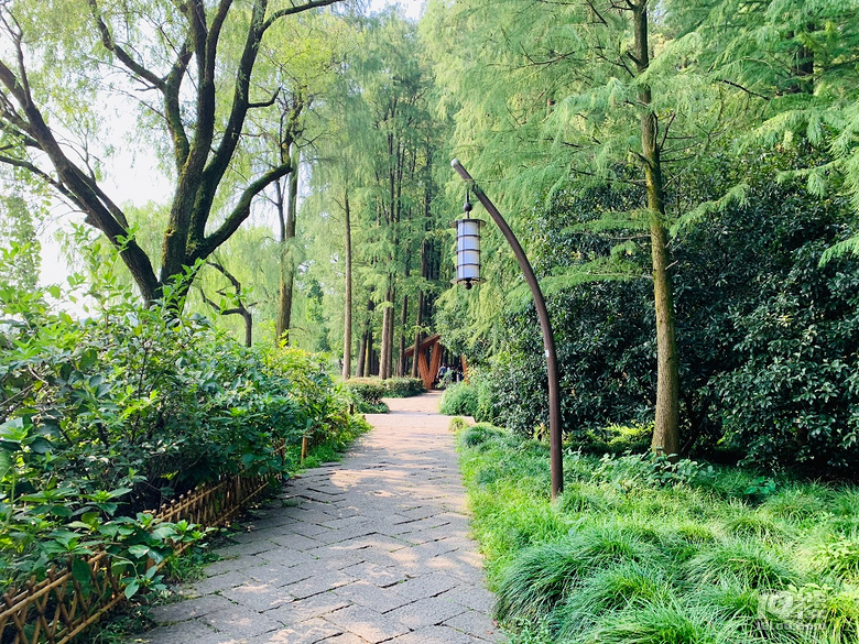 【秋游跡】漫步上香古道、法喜寺吃齋飯