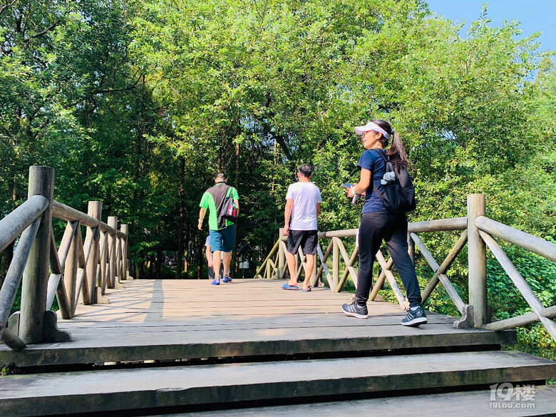 【秋游跡】漫步上香古道、法喜寺吃齋飯