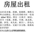 鿴ß
