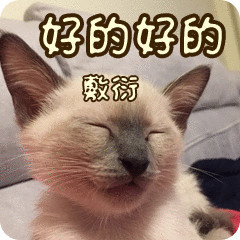 壁纸 动物 猫 猫咪 小猫 桌面 240_240