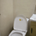 鿴ß