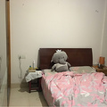 鿴ß
