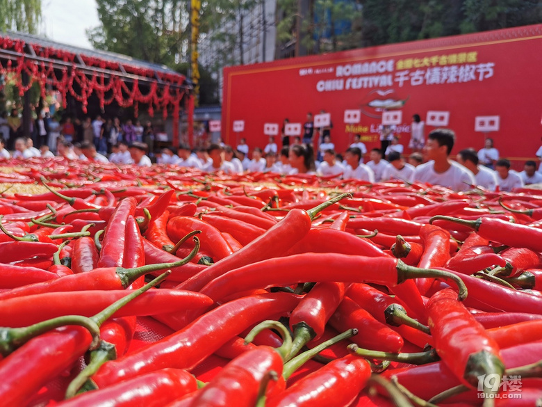 辣椒红了,日子火了,丰收节游客泡辣椒池比吃辣