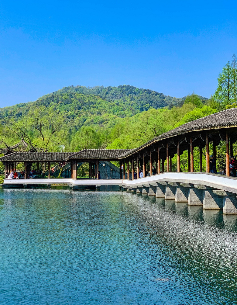 绝美风景 — 杭州·樱花季的西湖浴鹄湾与乌龟潭景区