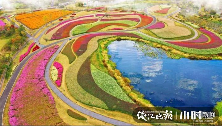 自駕游！余杭徑山花海十一迎盛花期，還有童趣穿越之旅等你來
