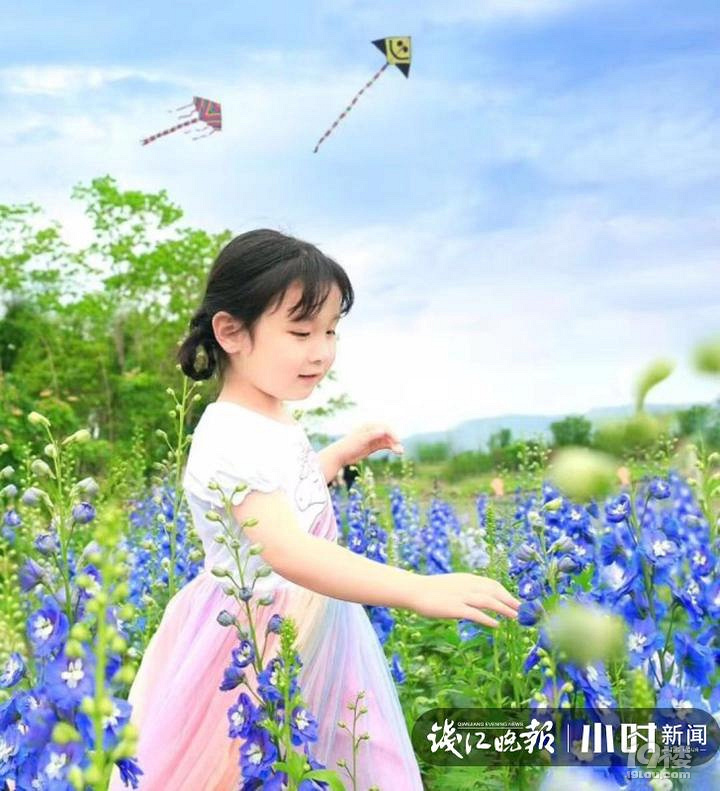 自駕游！余杭徑山花海十一迎盛花期，還有童趣穿越之旅等你來