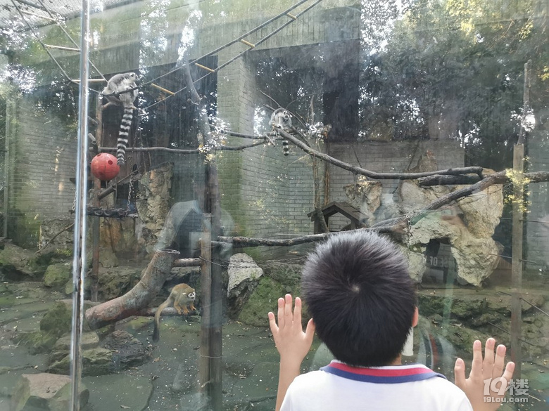 【帶娃打卡】兒童公園人超級少空氣也不錯，不用排隊