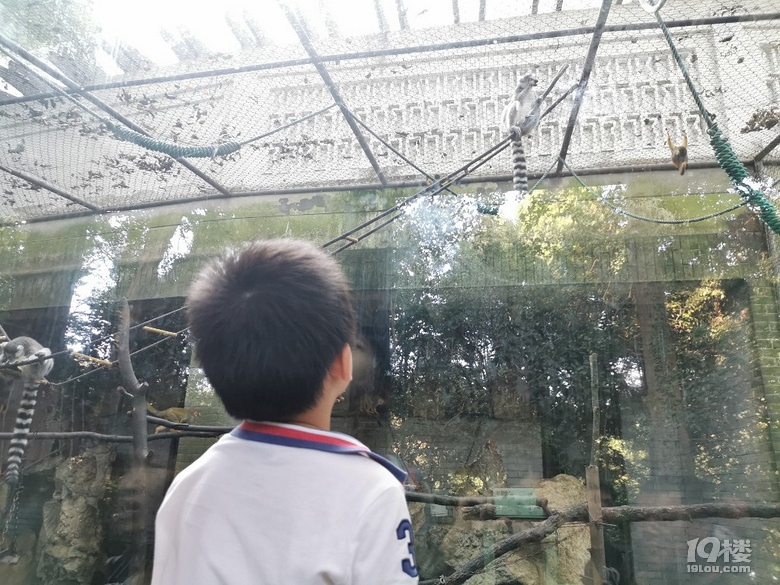 【帶娃打卡】兒童公園人超級少空氣也不錯，不用排隊