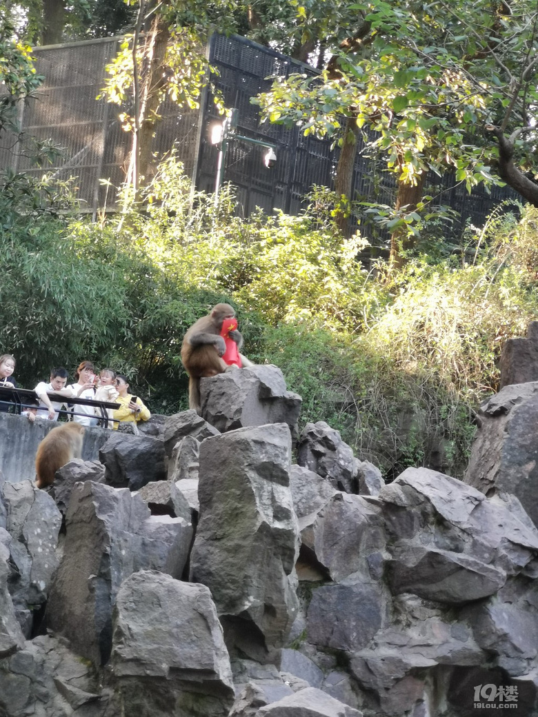 【帶娃打卡】兒童公園人超級少空氣也不錯，不用排隊