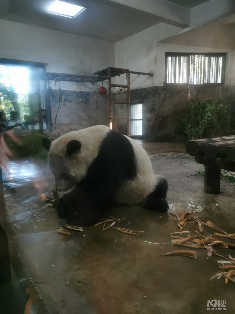 【帶娃打卡】兒童公園人超級少空氣也不錯，不用排隊