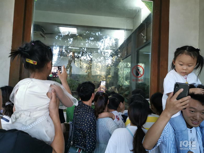 【帶娃打卡】兒童公園人超級少空氣也不錯，不用排隊