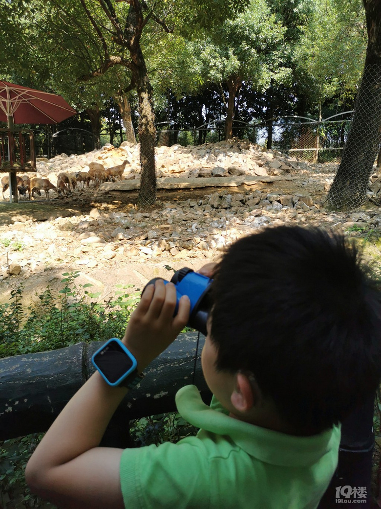 【帶娃打卡】兒童公園人超級少空氣也不錯，不用排隊