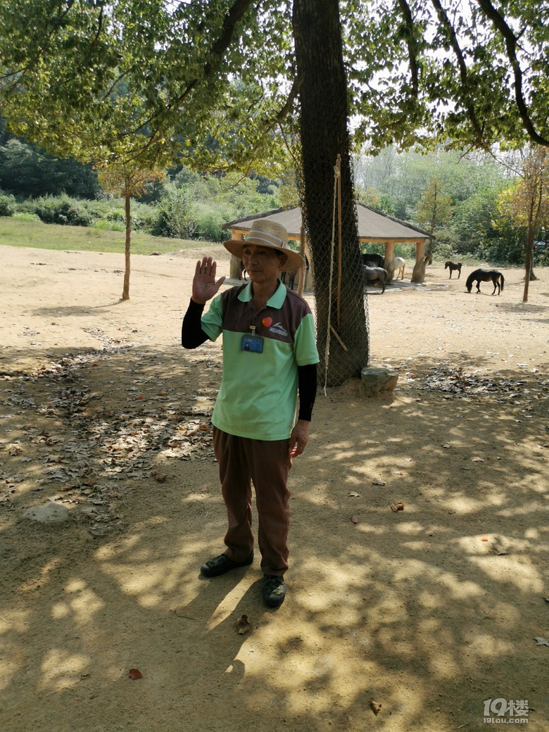 【帶娃打卡】兒童公園人超級少空氣也不錯，不用排隊