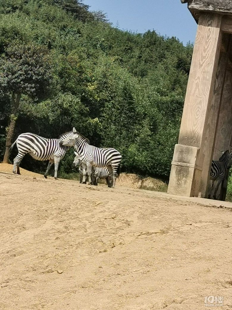 【帶娃打卡】兒童公園人超級少空氣也不錯，不用排隊