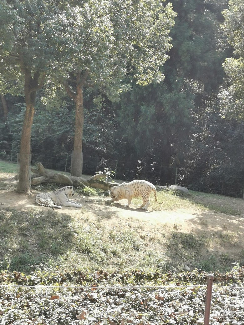 【帶娃打卡】兒童公園人超級少空氣也不錯，不用排隊