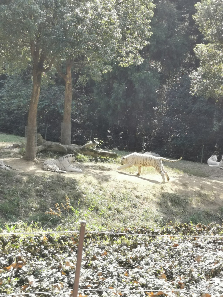 【帶娃打卡】兒童公園人超級少空氣也不錯，不用排隊