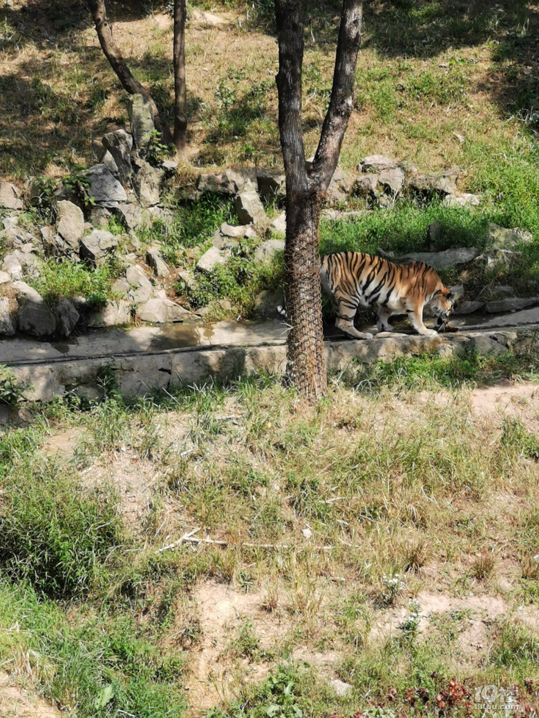【帶娃打卡】兒童公園人超級少空氣也不錯，不用排隊