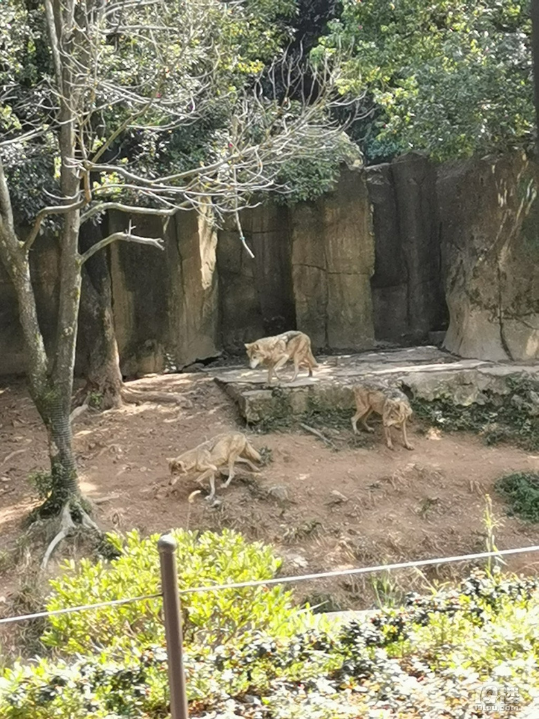 【帶娃打卡】兒童公園人超級少空氣也不錯，不用排隊