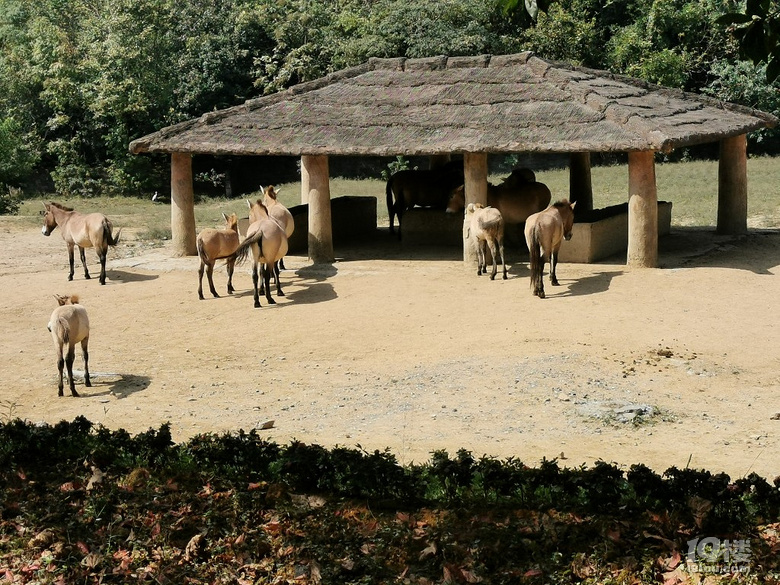 【帶娃打卡】兒童公園人超級少空氣也不錯，不用排隊