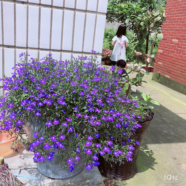 ޻ϼҡȻ