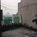 鿴ß