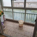 鿴ß