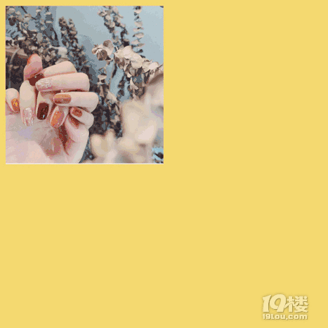 ָו(hu)ˡ2019ﶬTOP׹