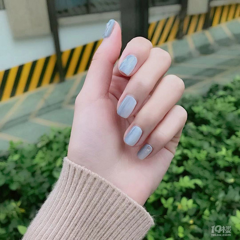 ָו(hu)ˡ2019ﶬTOP׹
