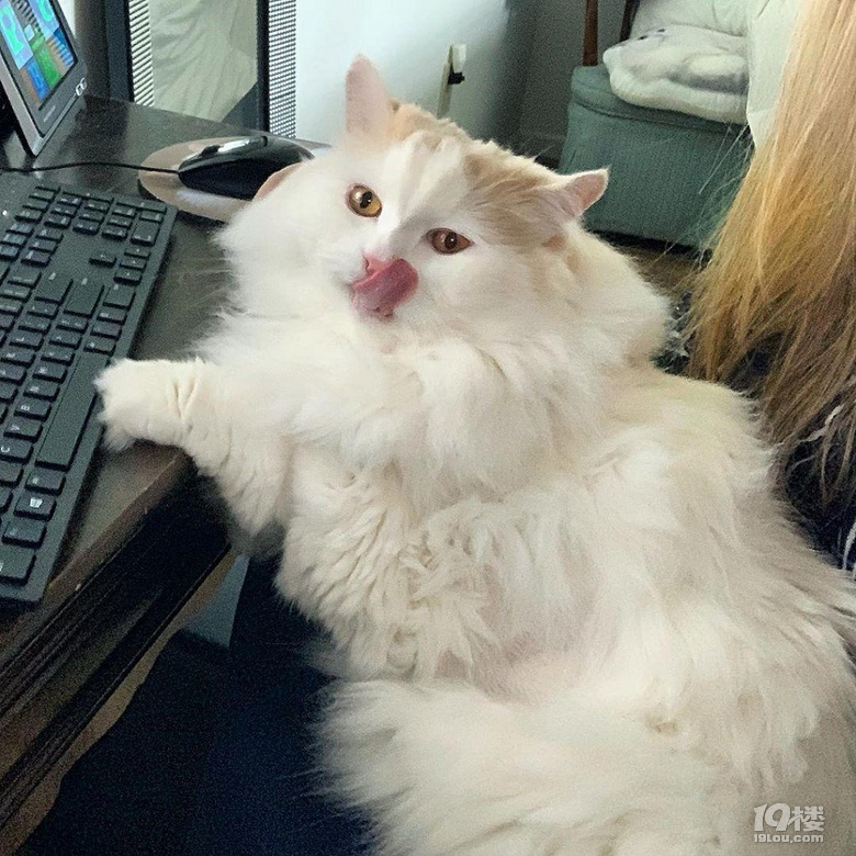 ޻ǡ